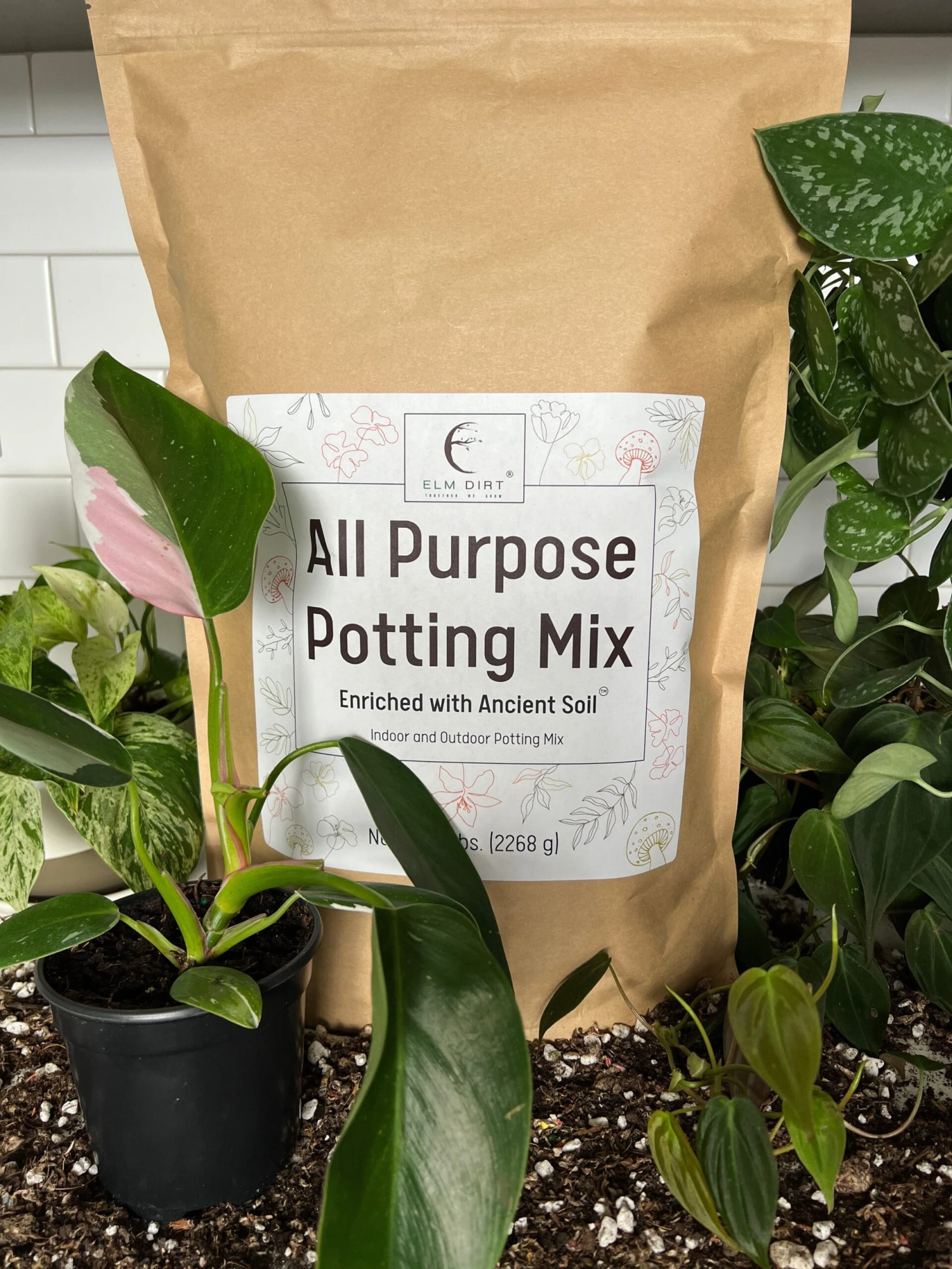 Elm Dirt All-Purpose Potting Mix 1 Elm Dirt All-Purpose Potting Mix