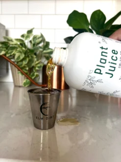 Elm Dirt Plant Juice 5 Elm Dirt Plant Juice -Alphas Plant Shop IMG 6513 scaled