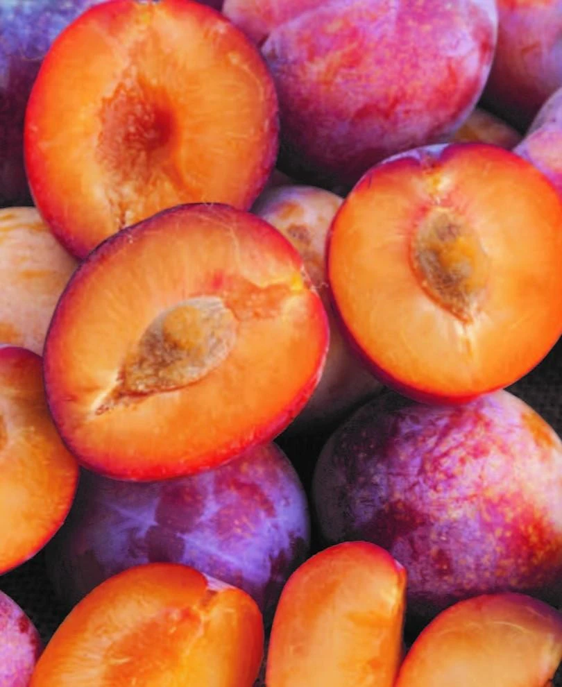 Flavor Punch Pluerry 1 Flavor Punch Pluerry