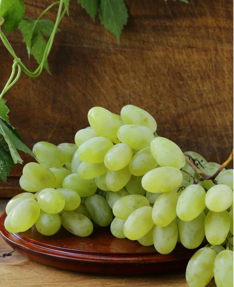 Gratitude Seedless Grape 1 Gratitude Seedless Grape