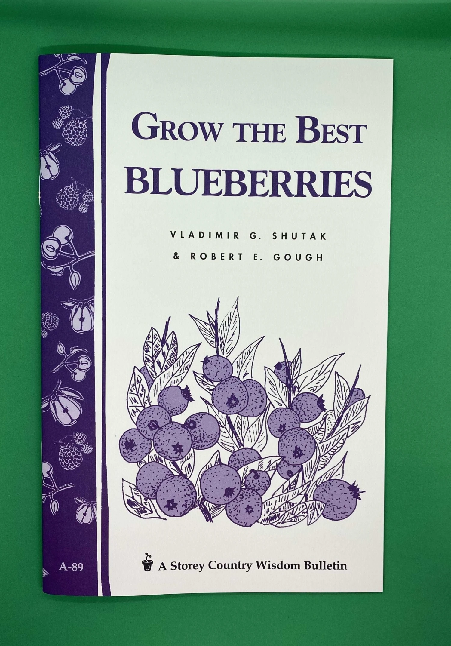 Grow The Best Blueberries 1 Grow The Best Blueberries