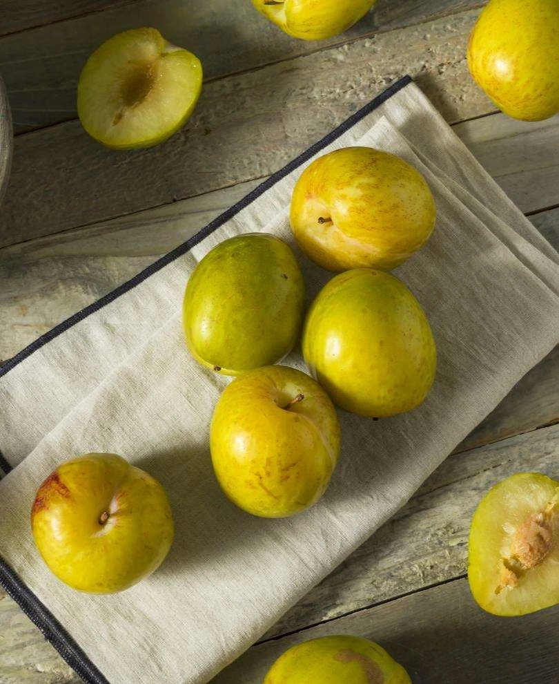 Flavor Grenade Pluot 1 Flavor Grenade Pluot